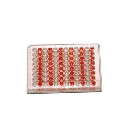 Advangene Tissue Culture Plates, 96 Well Array, 0.39ml, 100/pk, 100PK 141368